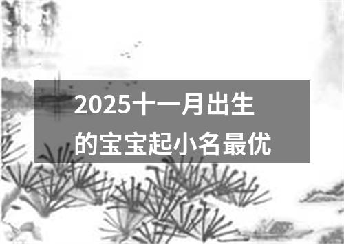 2025十一月出生的宝宝起小名最优