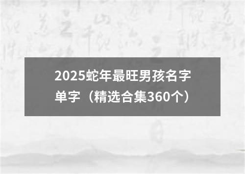 2025蛇年最旺男孩名字单字（精选合集360个）