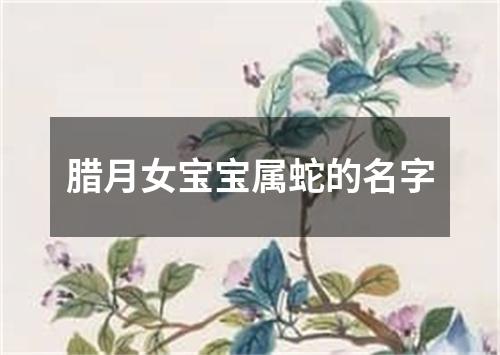 腊月女宝宝属蛇的名字