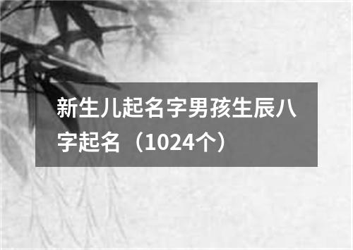 新生儿起名字男孩生辰八字起名（1024个）