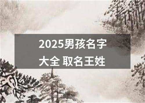 2025男孩名字大全 取名王姓