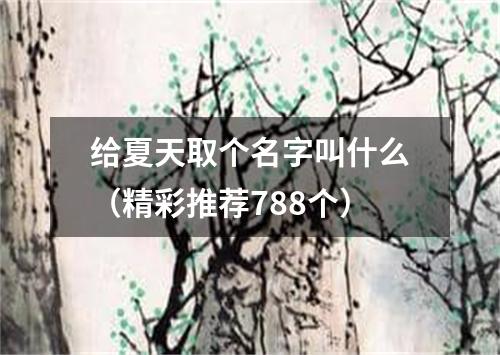 给夏天取个名字叫什么（精彩推荐788个）