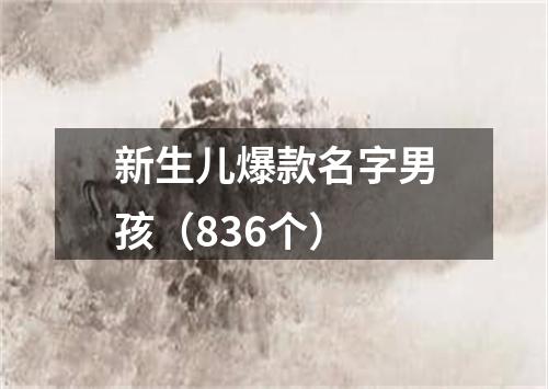 新生儿爆款名字男孩（836个）