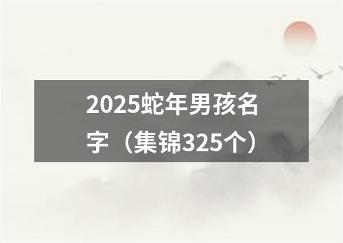 2025蛇年男孩名字（集锦325个）