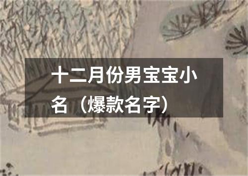 十二月份男宝宝小名（爆款名字）