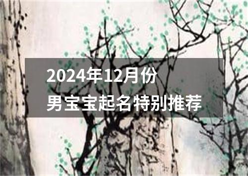 2024年12月份男宝宝起名特别推荐