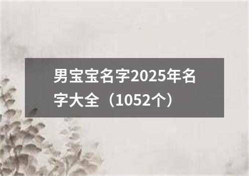 男宝宝名字2025年名字大全（1052个）