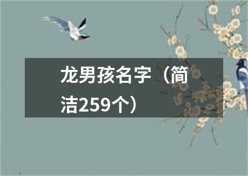 龙男孩名字（简洁259个）