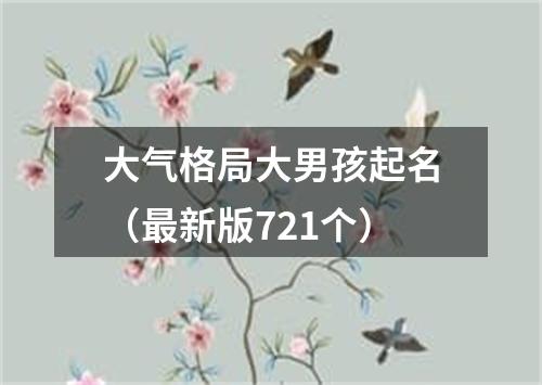 大气格局大男孩起名（最新版721个）