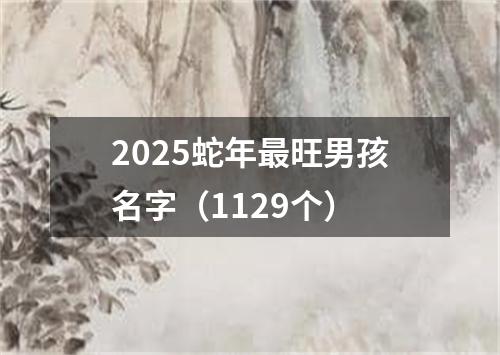 2025蛇年最旺男孩名字（1129个）