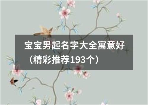 宝宝男起名字大全寓意好（精彩推荐193个）