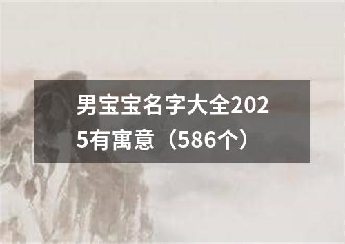 男宝宝名字大全2025有寓意（586个）