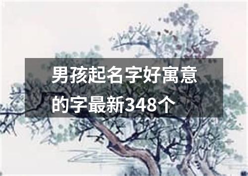 男孩起名字好寓意的字最新348个