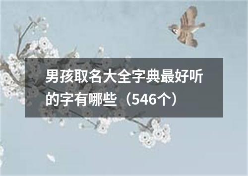 男孩取名大全字典最好听的字有哪些（546个）