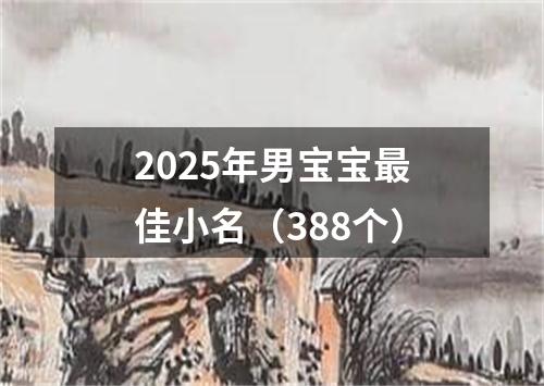 2025年男宝宝最佳小名（388个）