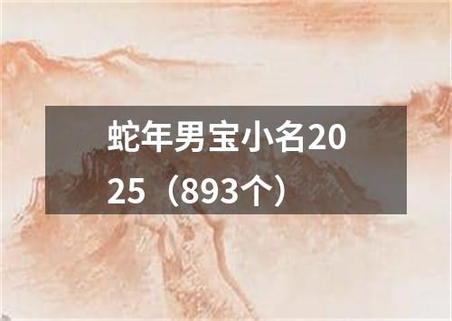 蛇年男宝小名2025（893个）