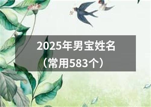 2025年男宝姓名（常用583个）