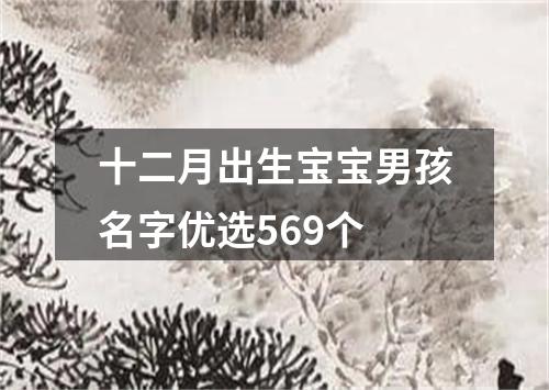 十二月出生宝宝男孩名字优选569个