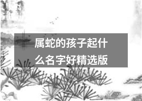 属蛇的孩子起什么名字好精选版