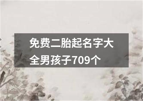 免费二胎起名字大全男孩子709个