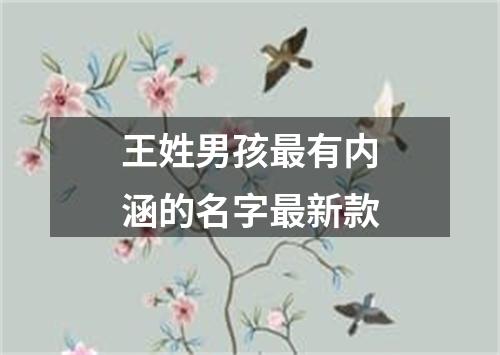 王姓男孩最有内涵的名字最新款