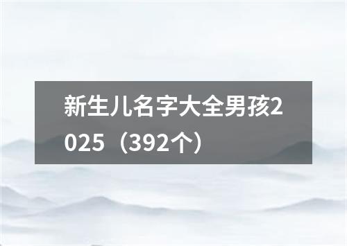 新生儿名字大全男孩2025（392个）