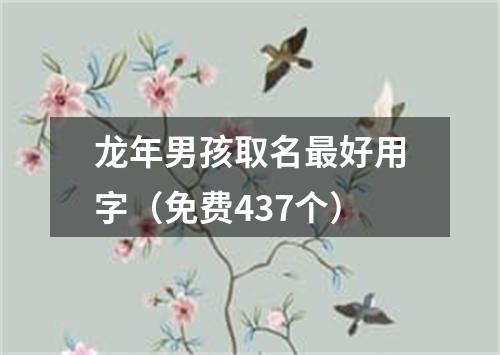 龙年男孩取名最好用字（免费437个）