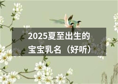 2025夏至出生的宝宝乳名（好听）