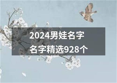 2024男娃名字名字精选928个