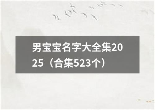 男宝宝名字大全集2025（合集523个）