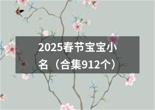 2025春节宝宝小名（合集912个）