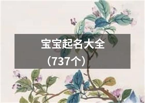 宝宝起名大全（737个）