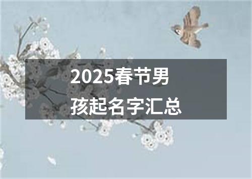 2025春节男孩起名字汇总