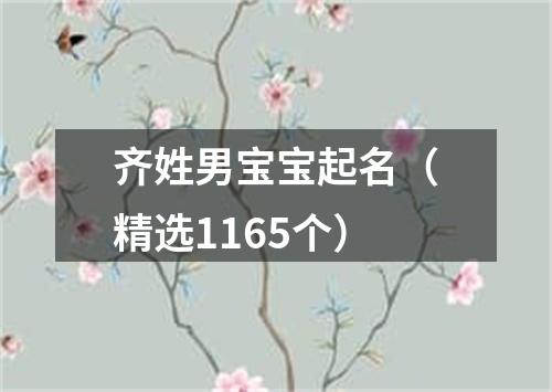 齐姓男宝宝起名（精选1165个）