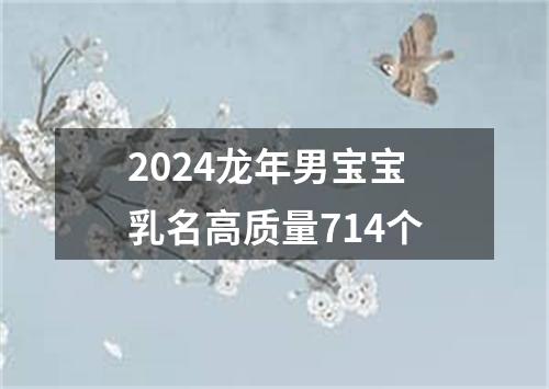 2024龙年男宝宝乳名高质量714个