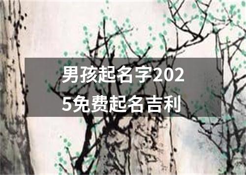 男孩起名字2025免费起名吉利