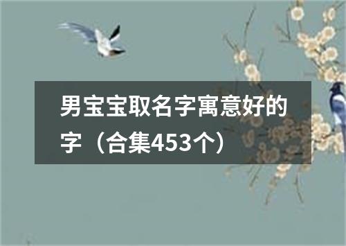 男宝宝取名字寓意好的字（合集453个）