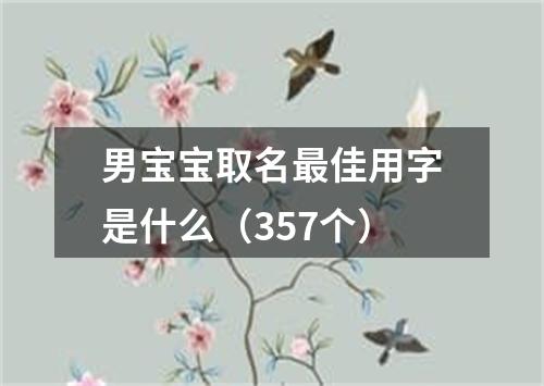 男宝宝取名最佳用字是什么（357个）