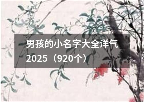 男孩的小名字大全洋气2025（920个）