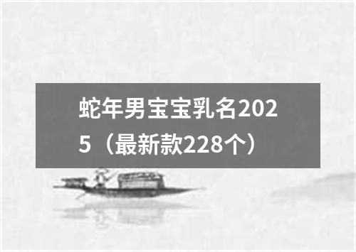 蛇年男宝宝乳名2025（最新款228个）