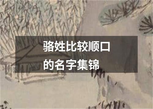 骆姓比较顺口的名字集锦