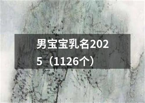 男宝宝乳名2025（1126个）