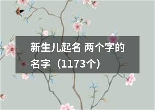 新生儿起名 两个字的名字（1173个）