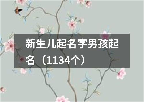 新生儿起名字男孩起名（1134个）