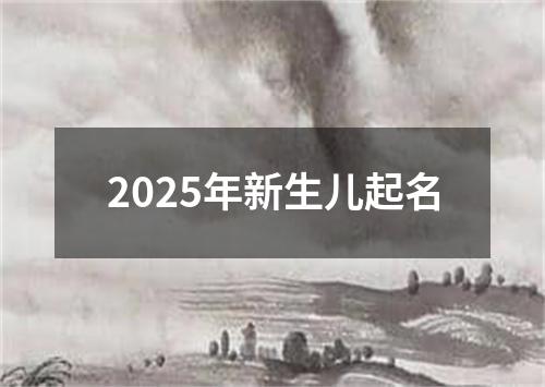 2025年新生儿起名