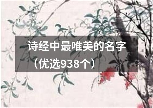 诗经中最唯美的名字（优选938个）