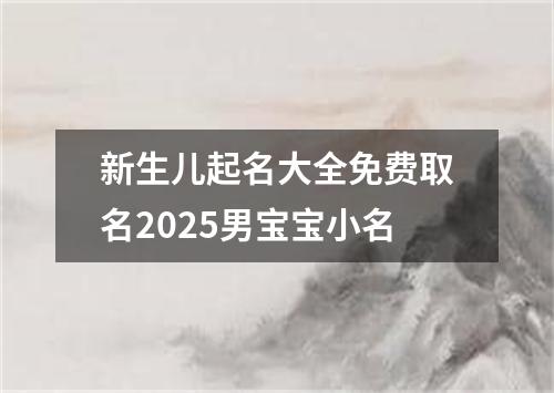 新生儿起名大全免费取名2025男宝宝小名