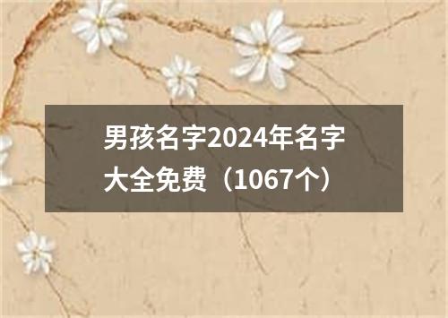 男孩名字2024年名字大全免费（1067个）