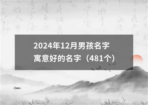 2024年12月男孩名字寓意好的名字（481个）