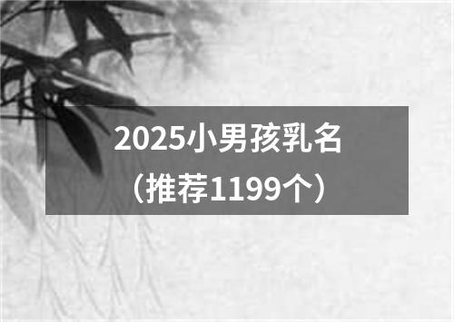 2025小男孩乳名（推荐1199个）